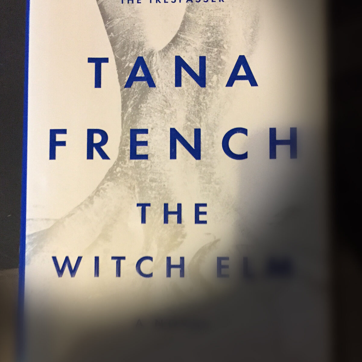 The Witch Elm by Tana French